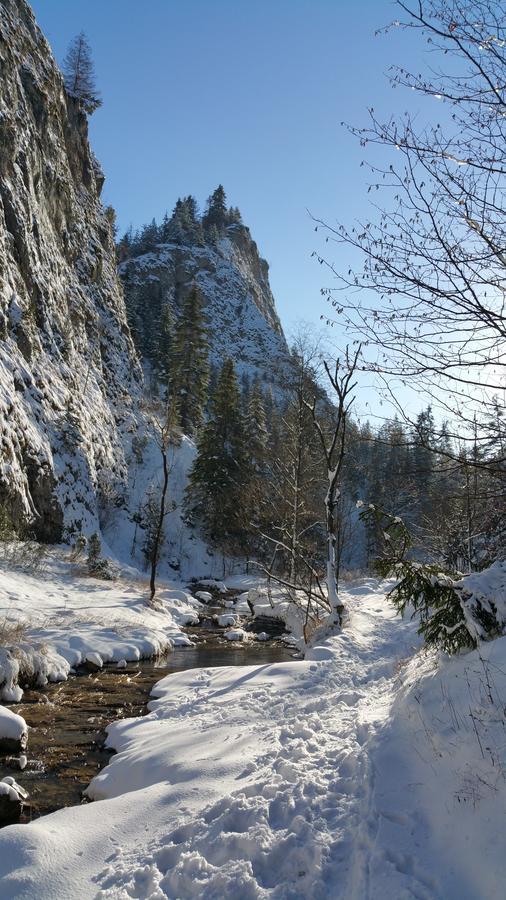 Appartamento Tyrol Szczawnica